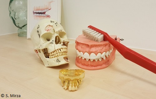Zahnmedizinische Fachangestellte (ZFA)